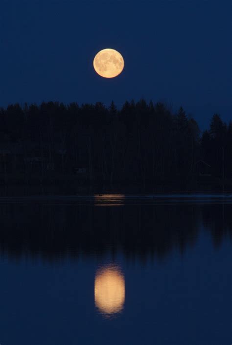 月亮、月出、黄昏 - 免费可商用图片 - cc0.cn