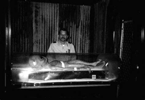 墨西哥国会展出两具“外星人尸体”：DNA 有未知成分，号称已有 1000 年历史-科技-金融界