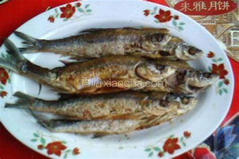 岛子鱼图片