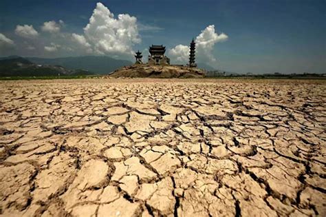 世界气象组织：2022年极端天气事件更加彰显气候行动的必要 - 中国绿色碳汇基金会