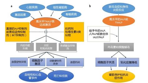 国外经验表明利用多学科团队（MDT）治疗癌症：死亡风险降低27%，花销节省20%