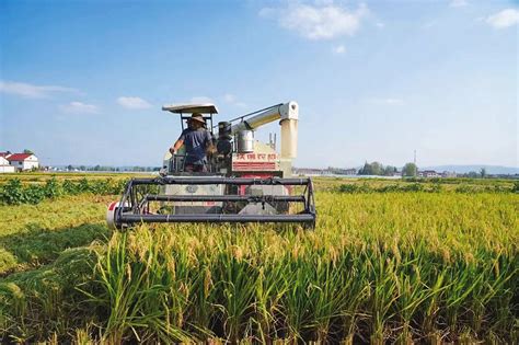 农机为现代农业插上翅膀，助力农业腾飞 | 农机新闻网
