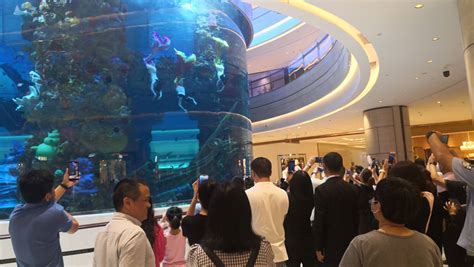 亚洲最大！重庆星光68购物中心海洋馆开业_海底世界
