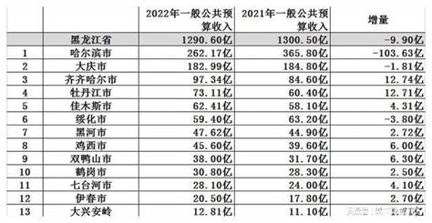 2020上半年黑龙江省产业投资前十城市排名（产业篇）-中商情报网