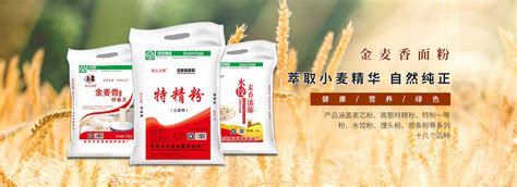 饺子用小麦粉 1KG-泰安市金麦香面粉制品厂