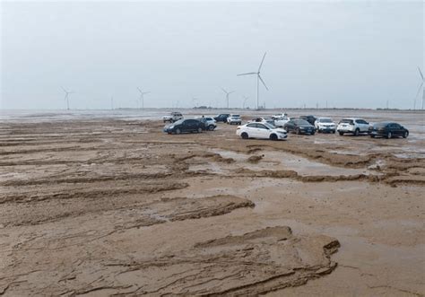 自驾游东营滨海大道，红滩湿地上越野赶海，航拍神奇的潮汐树_海滩_黄河_风车