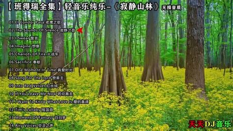 班得瑞轻音乐：典藏全集14CD【高音质wav格式】