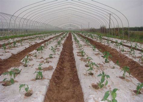 农用膜大棚膜保温地摸地膜农用白膜透明农地膜种菜种地塑料白色-阿里巴巴
