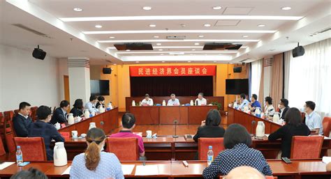 民进经济界会员座谈会在京举行