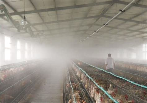 养殖场消毒该怎么做-江苏康巴特生物工程有限公司