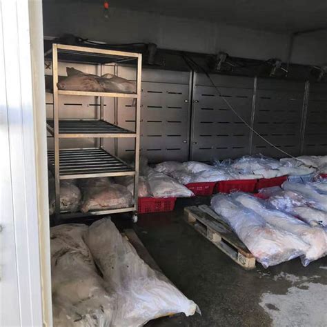 广州冻肉投放量日增400吨 专家称冻肉更有营养_新闻中心_新浪网