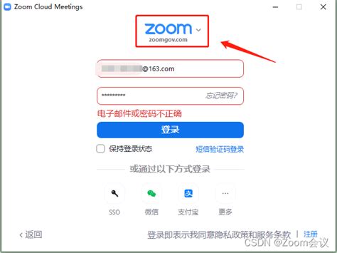 电脑版zoom登录方式有哪些_如何将zoom保持最新版-天极下载
