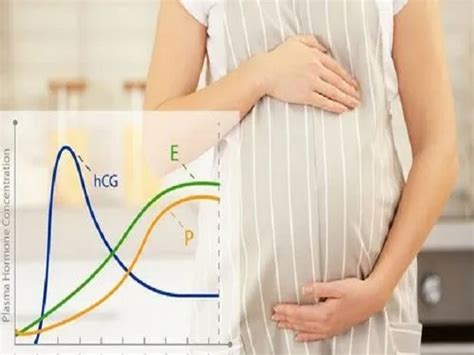 孕早期hcg值看男女的方法：数值越高越容易生女儿真不假_家庭医生在线