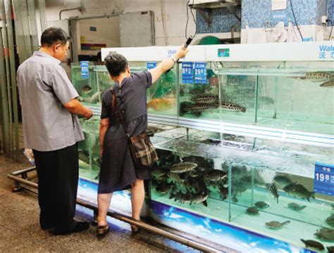 水产批发市场淡水鱼供应正常 榕淡水鱼价格稳定