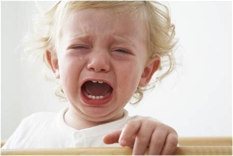 心理学: 哪一个小孩哭得最伤心? 测你未来孩子会不会服从你的管教