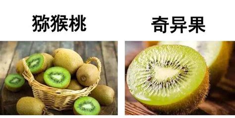 维C之王猕猴桃不能和七种食物同吃，还要记住三个禁忌-作用功效-中国猕猴桃网