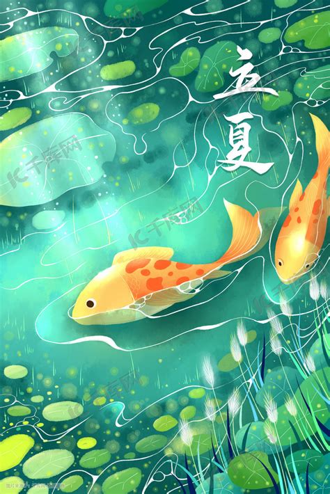 立夏光影下荷塘里的金鱼手绘插画图片-千库网