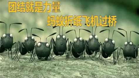 简约蚂蚁团结商务企业文化励志宣传标语海报背景PSD免费下载 - 图星人