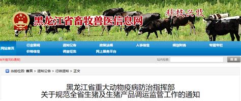 黑龙江省重大动物疫病防治指挥部 关于规范全省生猪及生猪产品调运监管工作的通知 | 中国动物保健·官网