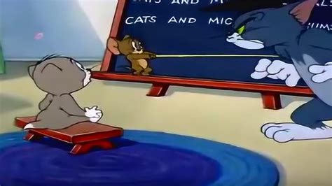 猫和老鼠：小杰瑞戴上博士帽，给小猫咪上课！竟被汤姆发现_腾讯视频