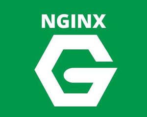 Megalayer教程：Nginx启动、重启和停止命令汇总 - Megalayer评测网