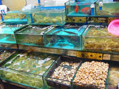 在湛江的海鲜农批市场，我看到了盒马模式的“原型”│新农堂考察