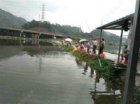 休闲钓鱼场所,钓鱼场所,钓鱼场所水库_大山谷图库