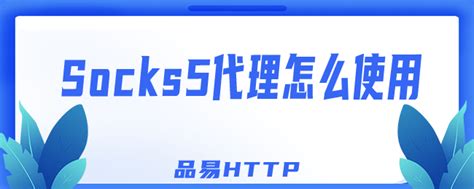 ToDesk设置代理IP详细教程（含HTTP/SOCKS5） - 巨量IP代理