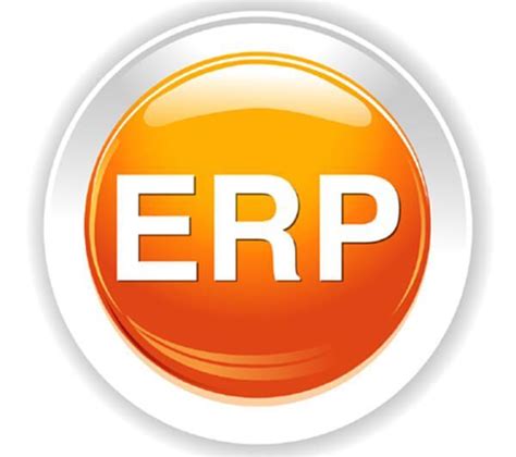 定制ERP软件的优势：快速响应市场变化与提升企业竞争力的利器