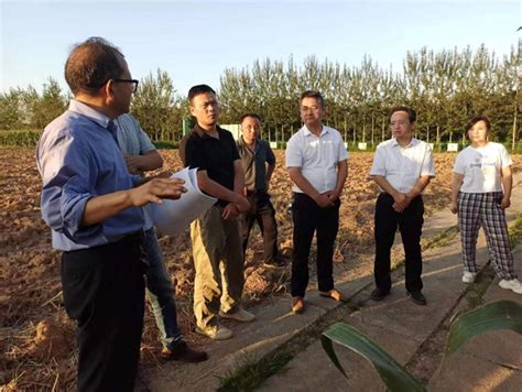 宝鸡市农业农村局 农业要闻 市园艺站在渭滨区开展蔬菜技术培训