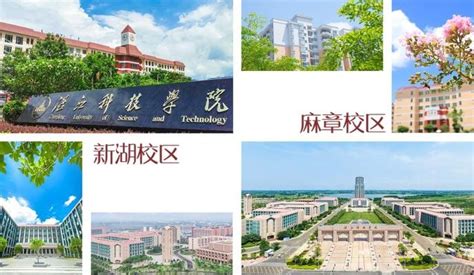 湛江科技学院2022年专任教师招聘公告_高校英才网