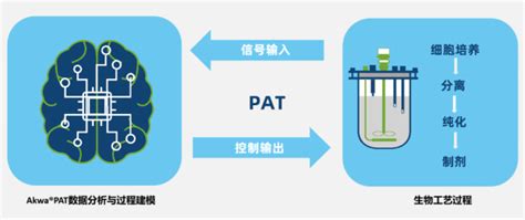 华·罗克 的图像结果
