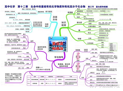 保尔柯察金思维导图，钢铁是怎样炼成的思维导图整理_知犀官网