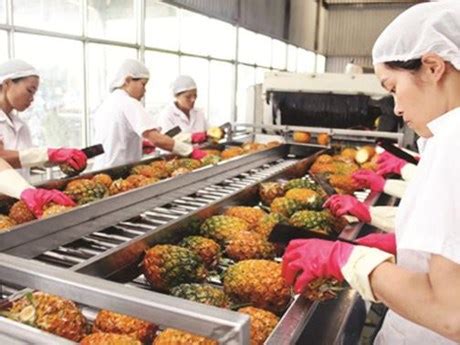 越南“协助”泰国水果出口中国 | 国际果蔬报道