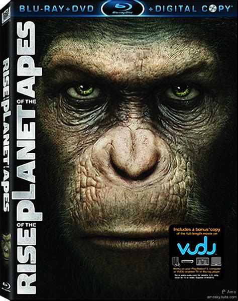 《人猿星球：最后边疆》最新演示 打造电影级的体验_新浪游戏_手机新浪网