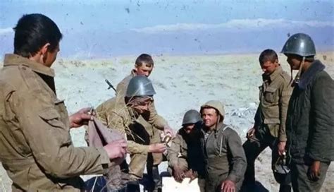 1979年苏联入侵阿富汗战争，1979年12月末|苏联|阿富汗|阿富汗战争_新浪新闻