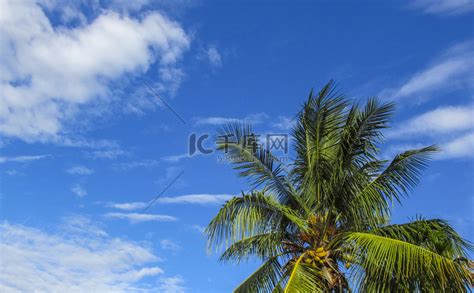 蓝天上的水母云高清摄影大图-千库网