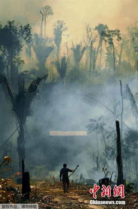 实拍巴西亚马逊雨林火灾 大火浓烟超百米