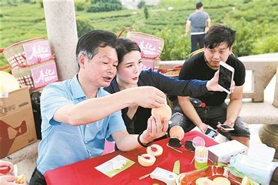 奉化副区长和“网红”一起直播推销水蜜桃-新闻中心-中国宁波网