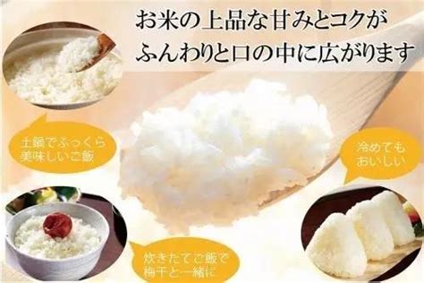 爆品时代，日本金芽米如何让用户尖叫 | Foodaily每日食品