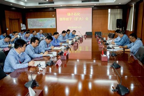 中国石化集团调整扬子石化领导班子
