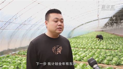 河北青县：创新果蔬种植模式 促进农业提质增效_凤凰网视频_凤凰网