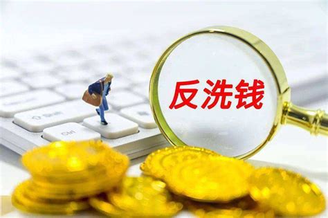 中华人民共和国反洗钱法最新全文 - 法律条文 - 律科网