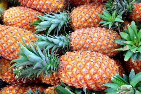 中国国台办：大陆暂停台湾地区菠萝输入是正常的生物安全防范举措 科学合理 - 2021年3月17日, 俄罗斯卫星通讯社