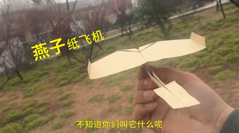 教你折一架「世界上飞得最远的纸飞机」 - 知乎