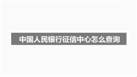 中国人民银行征信中心官网 进入个人征信查询页面