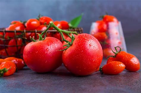 蔬菜营养方案 - 青岛海德龙生物科技有限公司官网