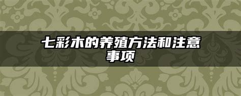 养殖七彩鲑鱼注意事项，养殖七彩鲑鱼周期多长，20亩能养多少七彩鲑鱼？ - 知乎