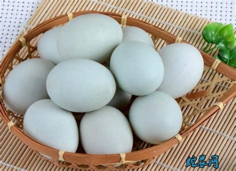 2021年7月18日鸭蛋价格行情、今日各种新鲜鸭蛋多少钱一斤？ - 农产品价格 - 蛇农网