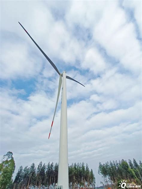 广东湛江风电首个分散式风电项目成功并网-国际风力发电网